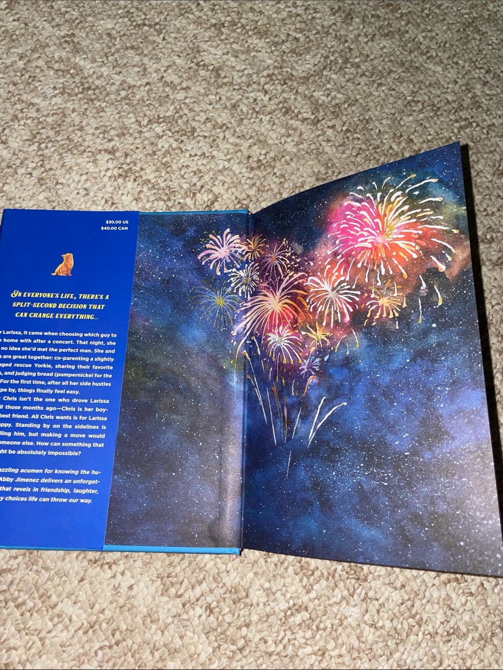 The Night We Met by Abby Jimenez - Picture 6 of 7